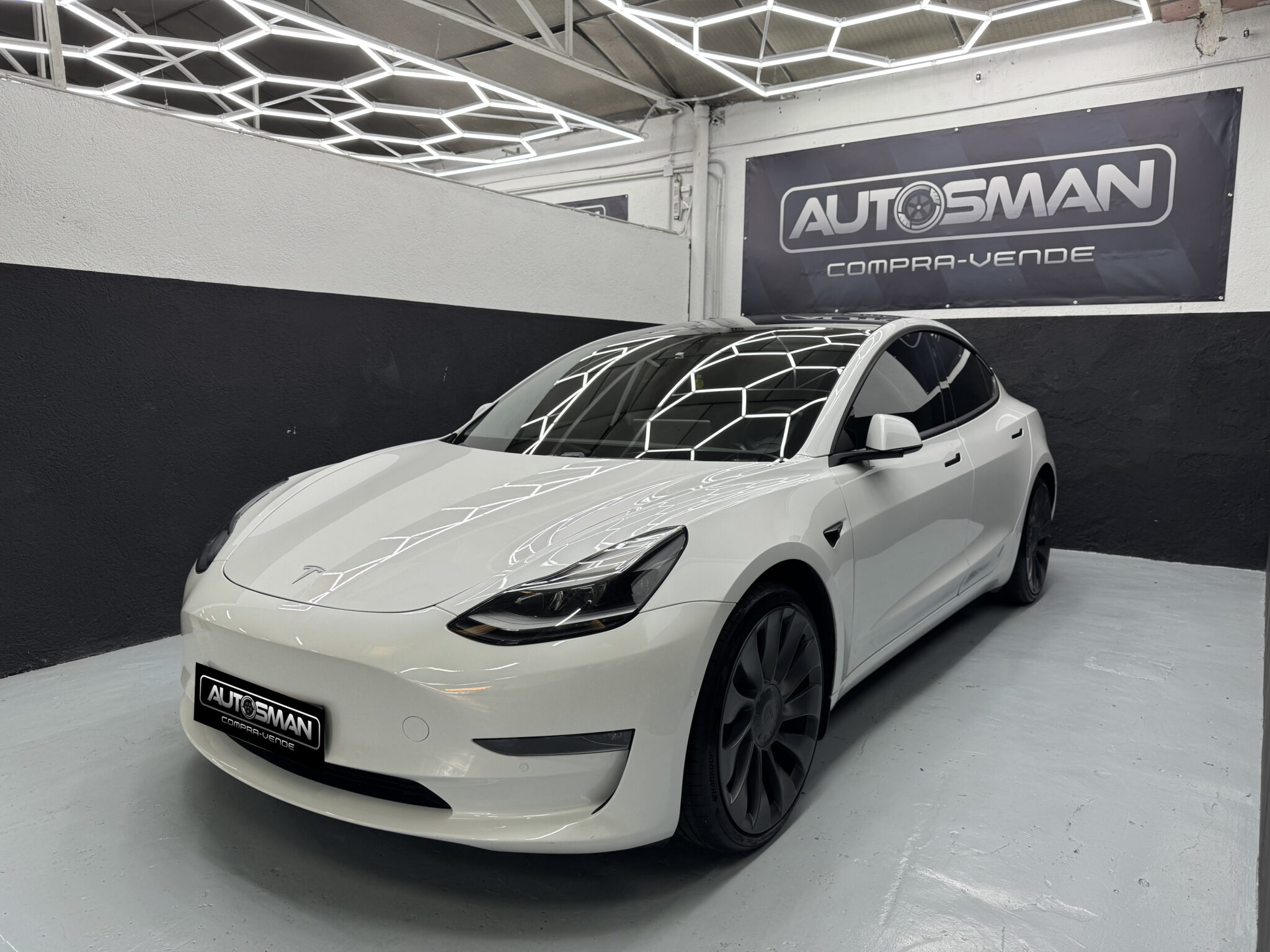 Tesla Model 3 Performance 2021